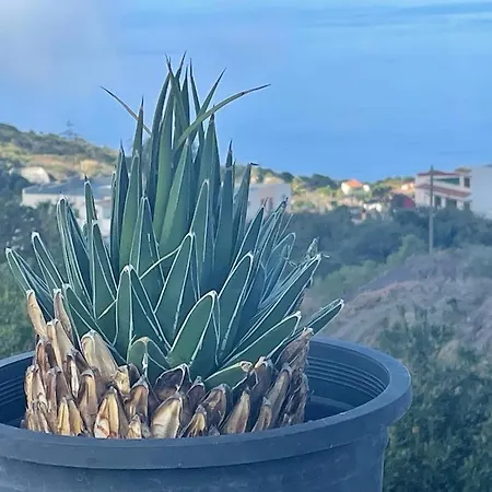 La Casa De Mami Hébergement de vacances El Tanque